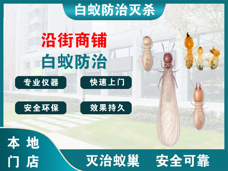 新吴沿街商铺白蚁防治
