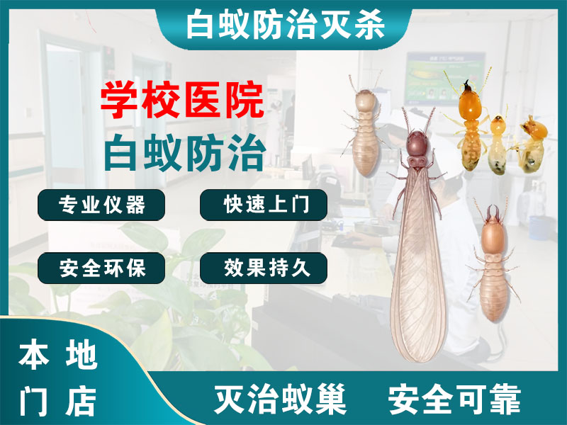 新吴学校医院白蚁防治