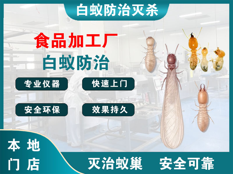 新吴食品加工厂白蚁防治