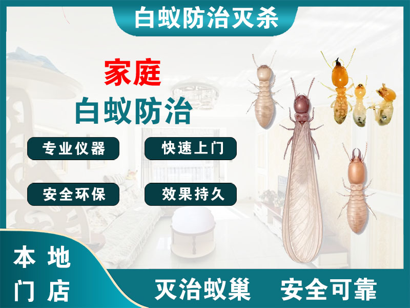 新吴家庭白蚁防治