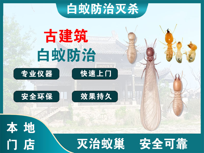 新吴古建筑白蚁防治