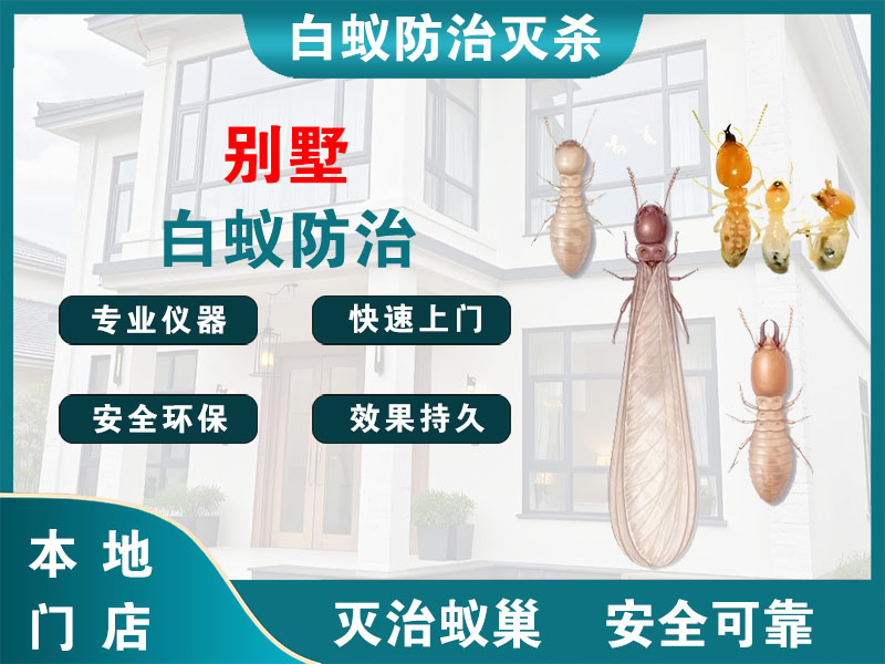 新吴别墅白蚁防治
