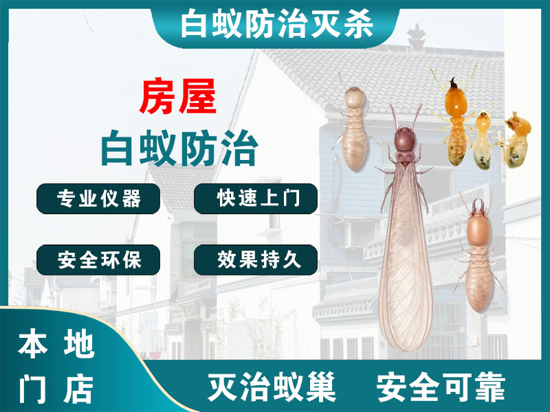 新吴房屋白蚁防治